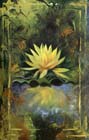 water lily  green- SOLD
