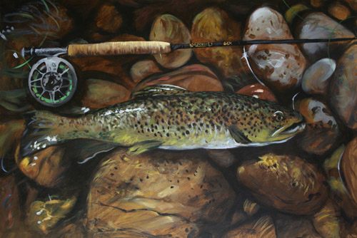 Montana brown trout $800